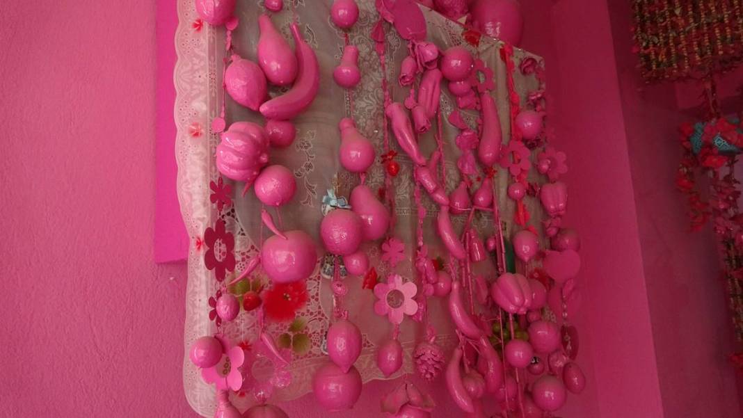 Daha önce böyle bir ev görmediniz! Türkiye'nin dört bir yanından görmeye geliyorlar, meğer çocukluk hayaliymiş 21